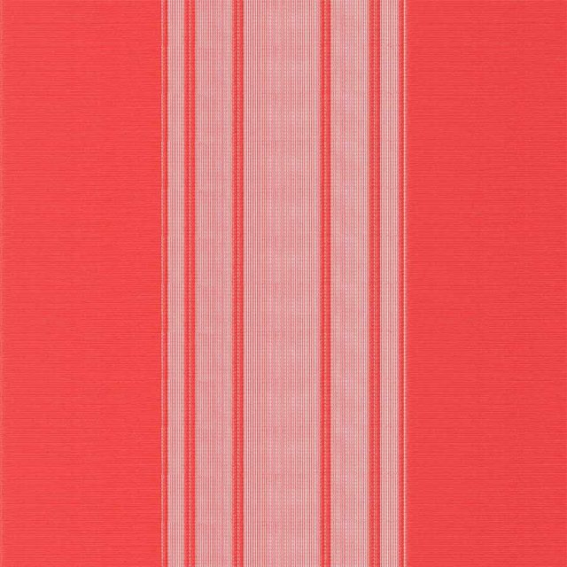 Stripe-Red-Vertex-Blind